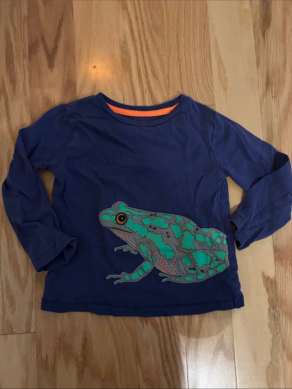 Mini Boden Navy Long-Sleeve Tee with Green Frog Graphic and Orange Trim